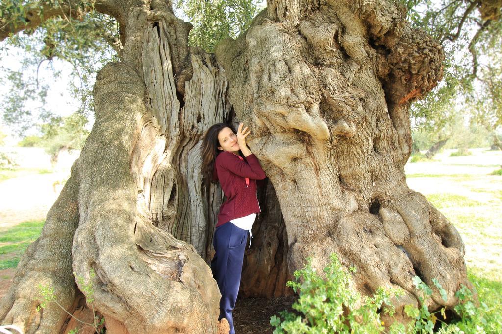 Masseria Brancati Ostuni Bagian luar foto